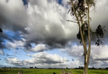 [NBA]主场战胜热火 终结三连败.